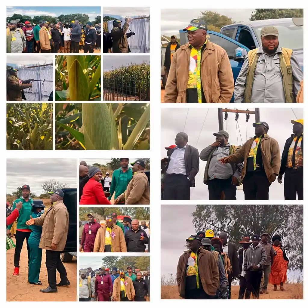 Image from MASVINGO PROVINCIAL INFORMATION DESK OFFICIAL: _Minister Chadzamira Attends Village Business Units Field Day in Chivi...