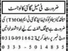 Image from Jobs Portal PIMA: peshawar...