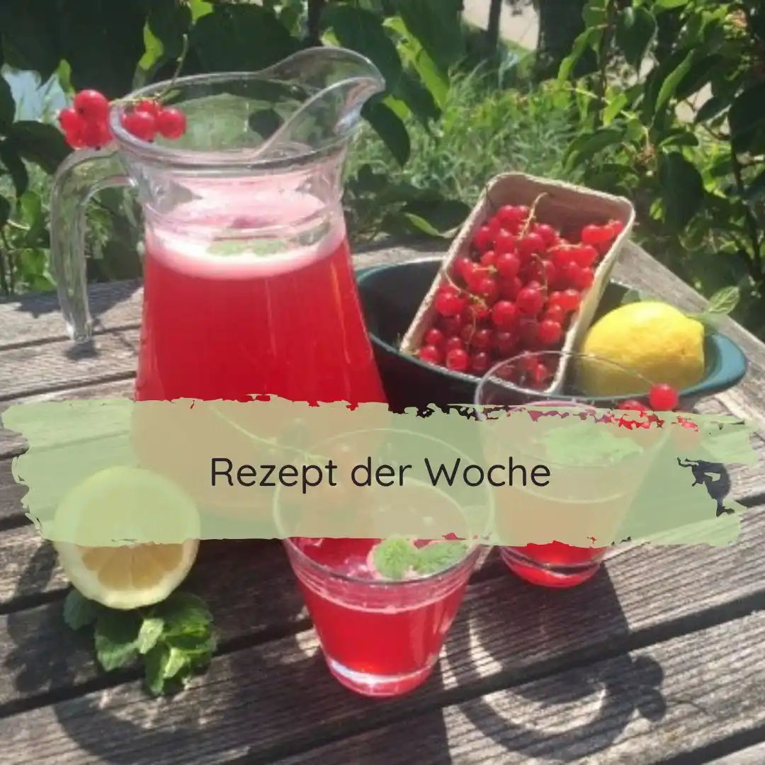 Wino Bio GmbH post