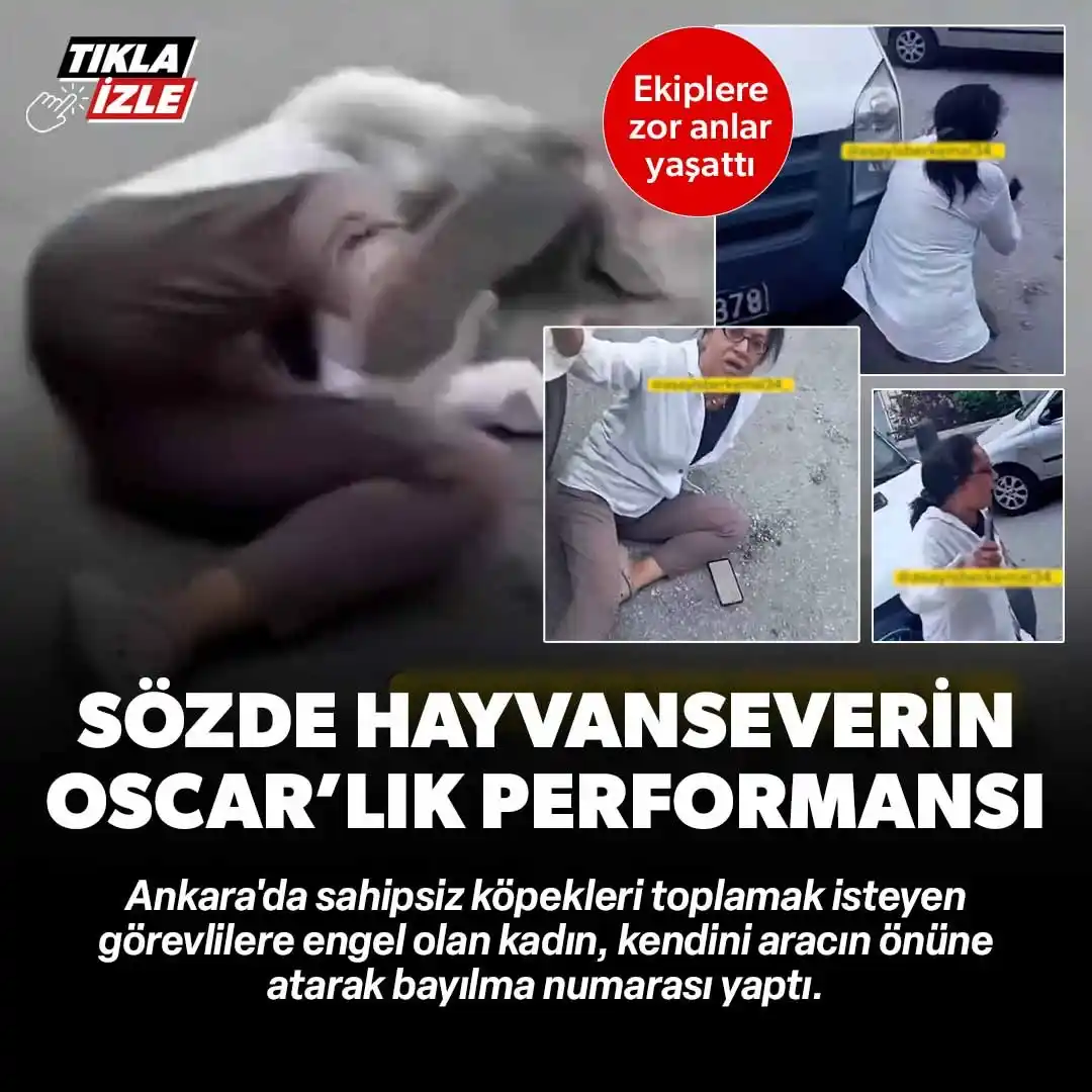 Image from Yeni Şafak: Sözde hayvanseverden Oscar'lık performans: Yerlerde yuvarlandı İzle: ...