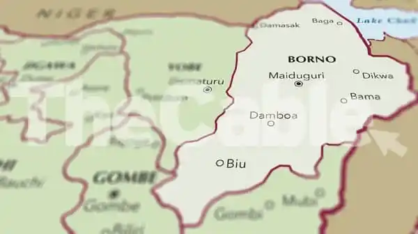 Image from TheCable: *’24 killed’ as female suicide bomber detonates IED at food joint in B...
