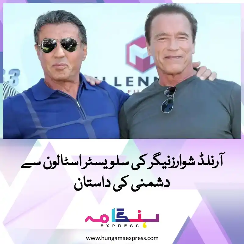 Image from Hungama Express: آرنلڈ شوارزنیگر نے اعتراف کیا ہے کہ ایک وقت ایسا تھا جب ان کے اور سلوی...