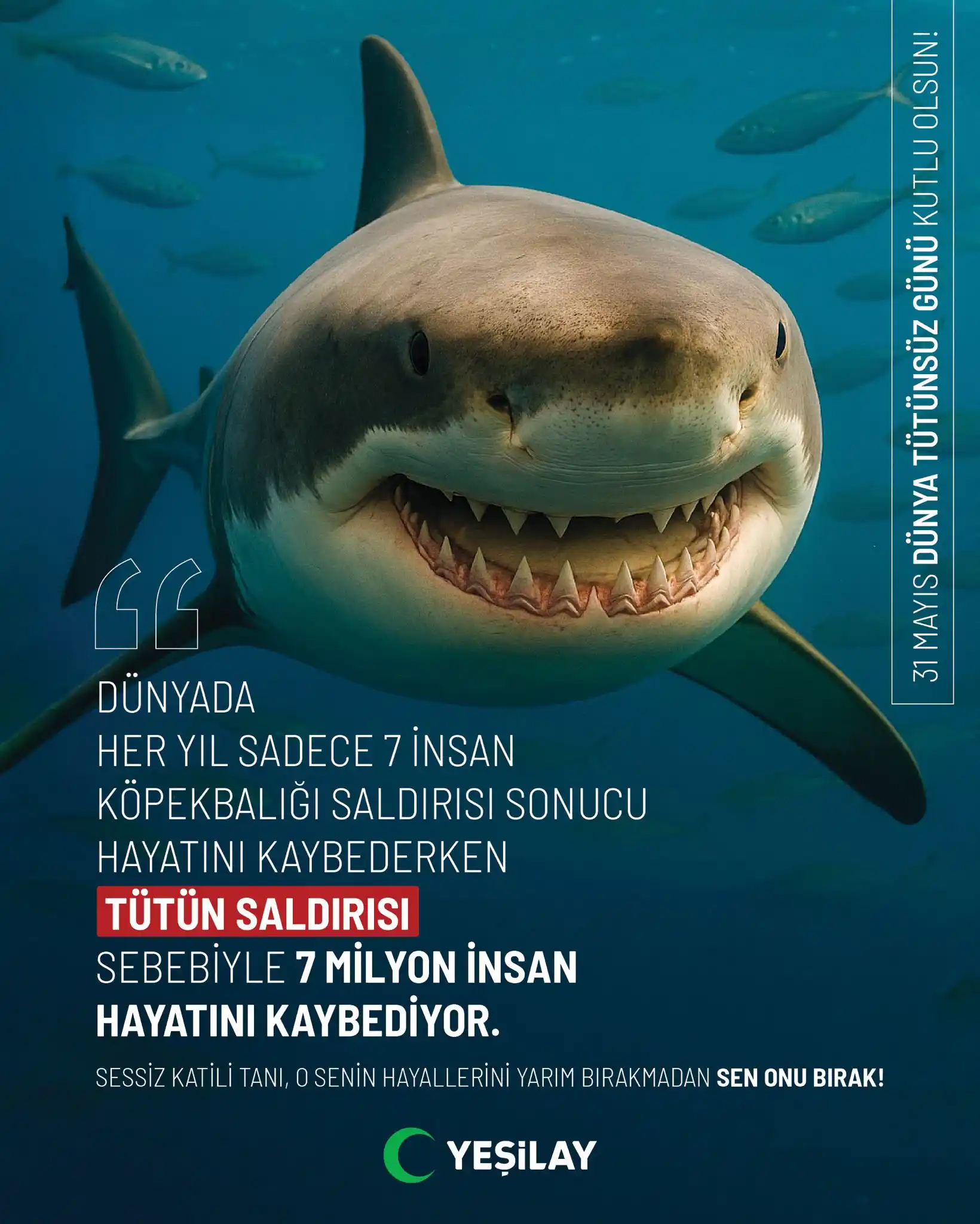 Image from Türkiye Yeşilay Cemiyeti: 🦈 Dünyada her yıl sadece 7 kişi köpekbalığı saldırısı sonucu hayatını...
