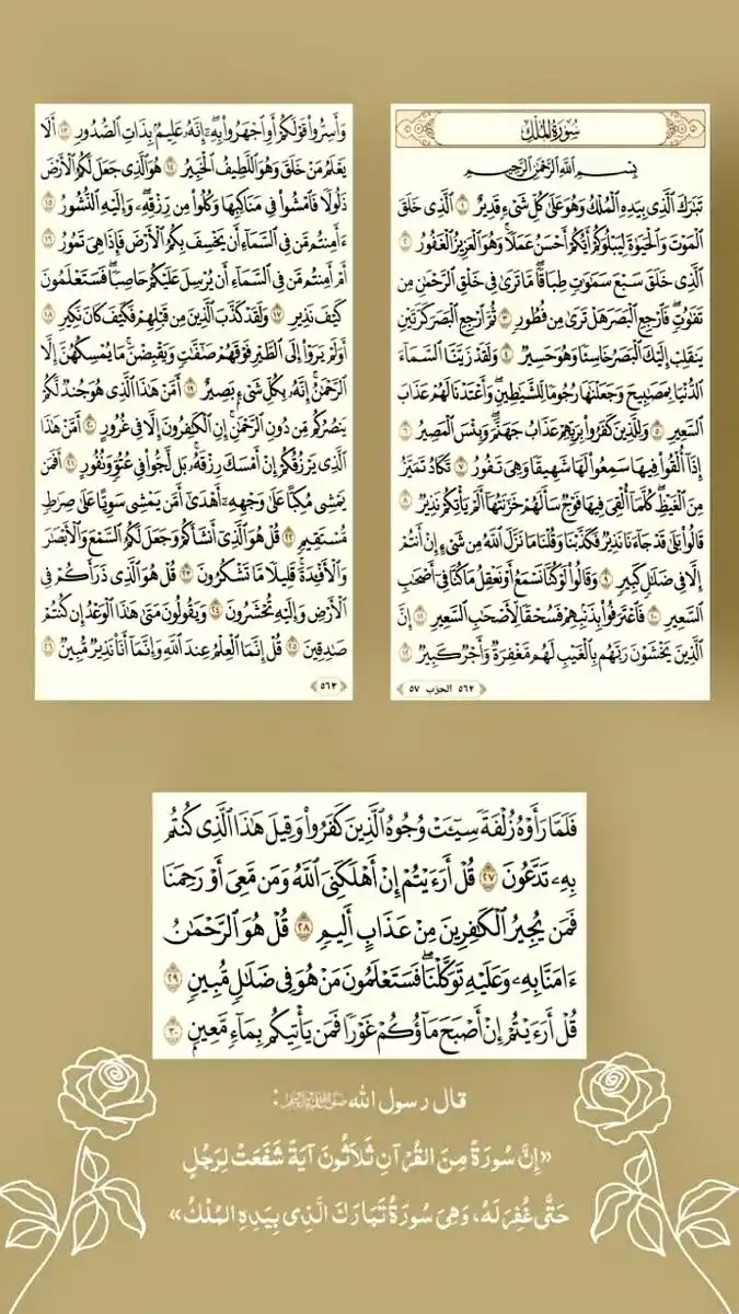 Image from مُصْحَف:))🌿: كُل لَيلة خُتمِت بتلاوة سُورة المُلك، بشّر لصاحِبها فِ حياته بعودة قل...