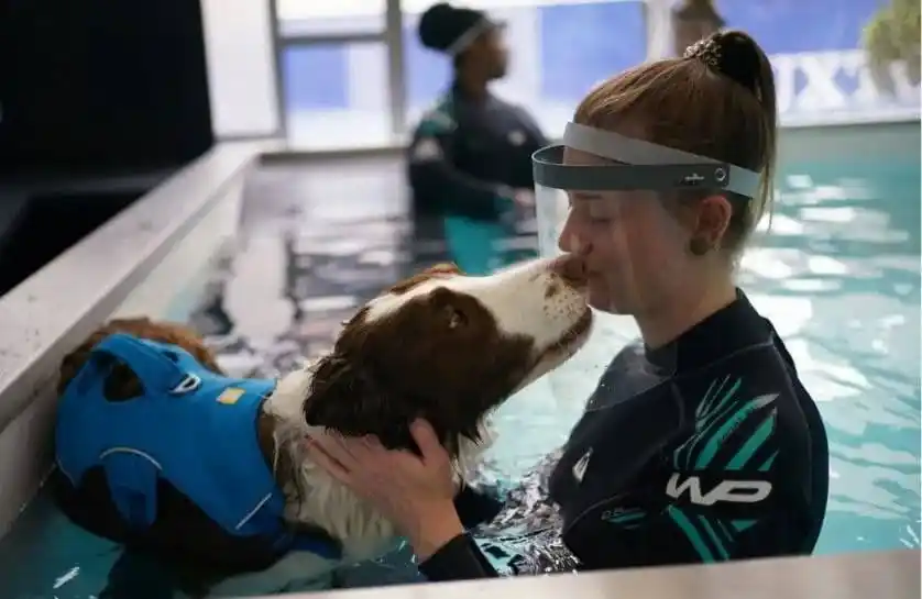 Image from teleSUR English: 📸 *Photo of the Day* Hydrotherapy for dogs, is commonly used to trea...