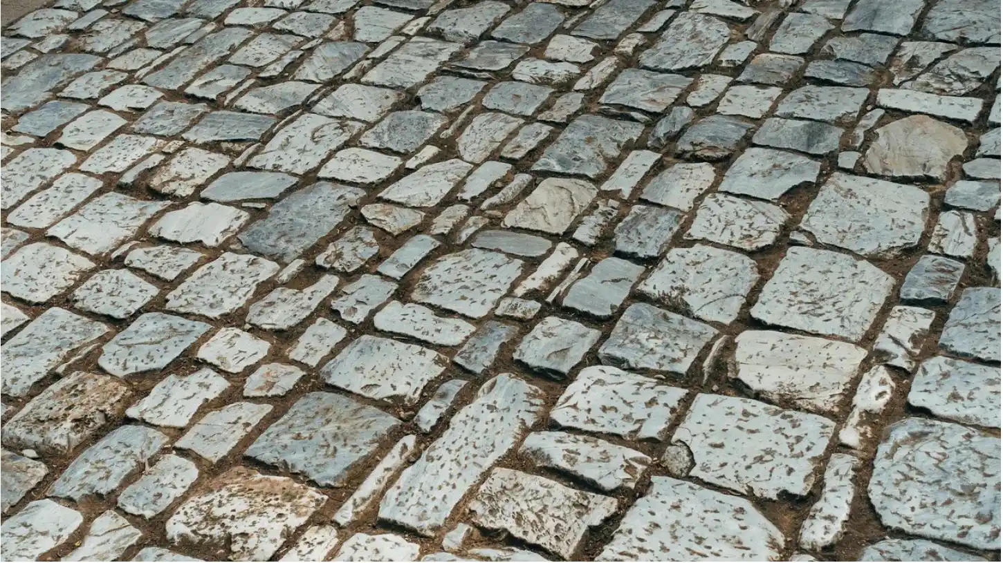 Image from Novini.bg: Преди 6800 години в района на Суворово е имало селище с павирани улици...