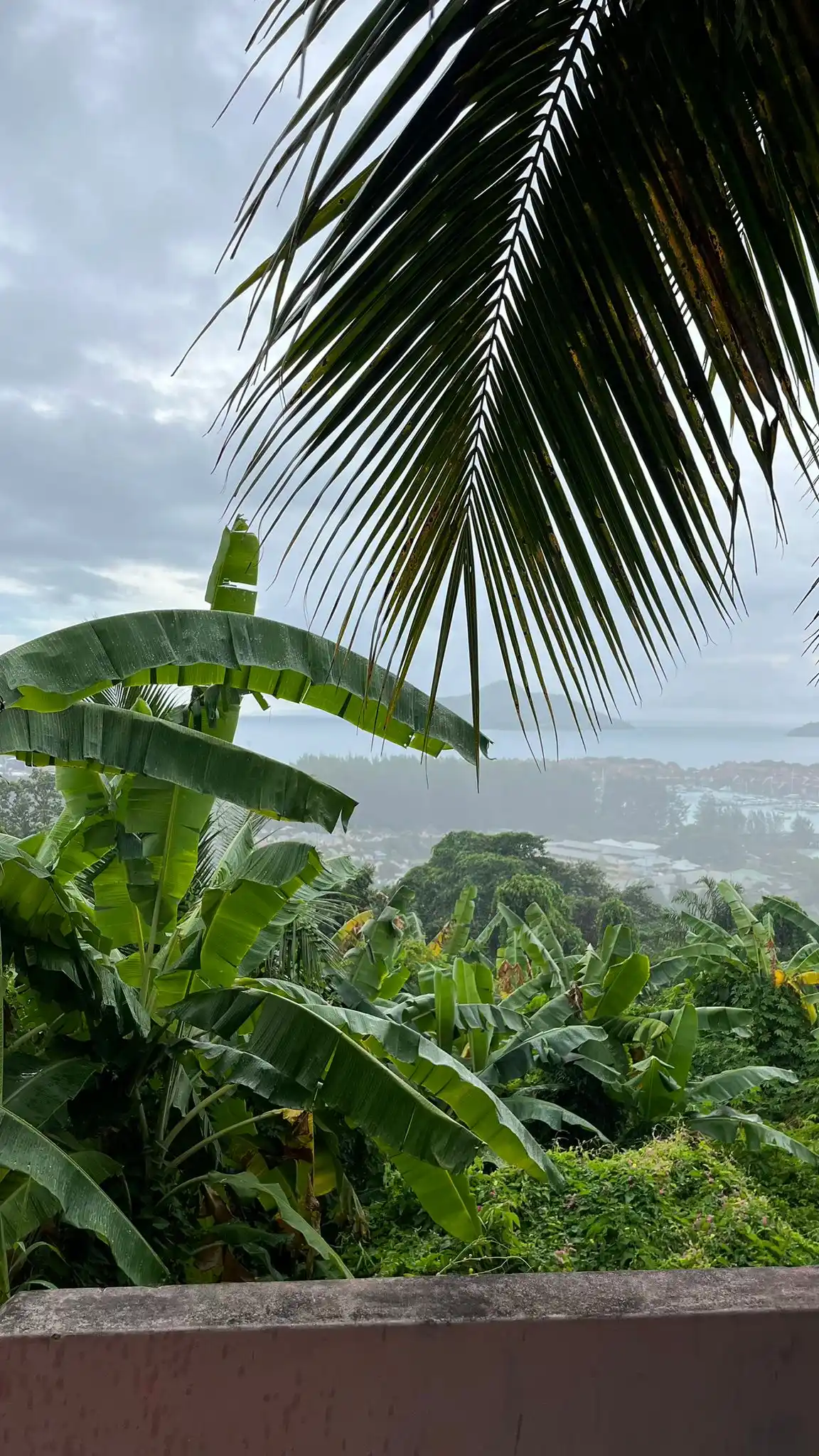 Image from Seychellen Infos: 🇸🇨 Bonzour und guten Morgen. Das Wetter heute auf Mahé: Regen...