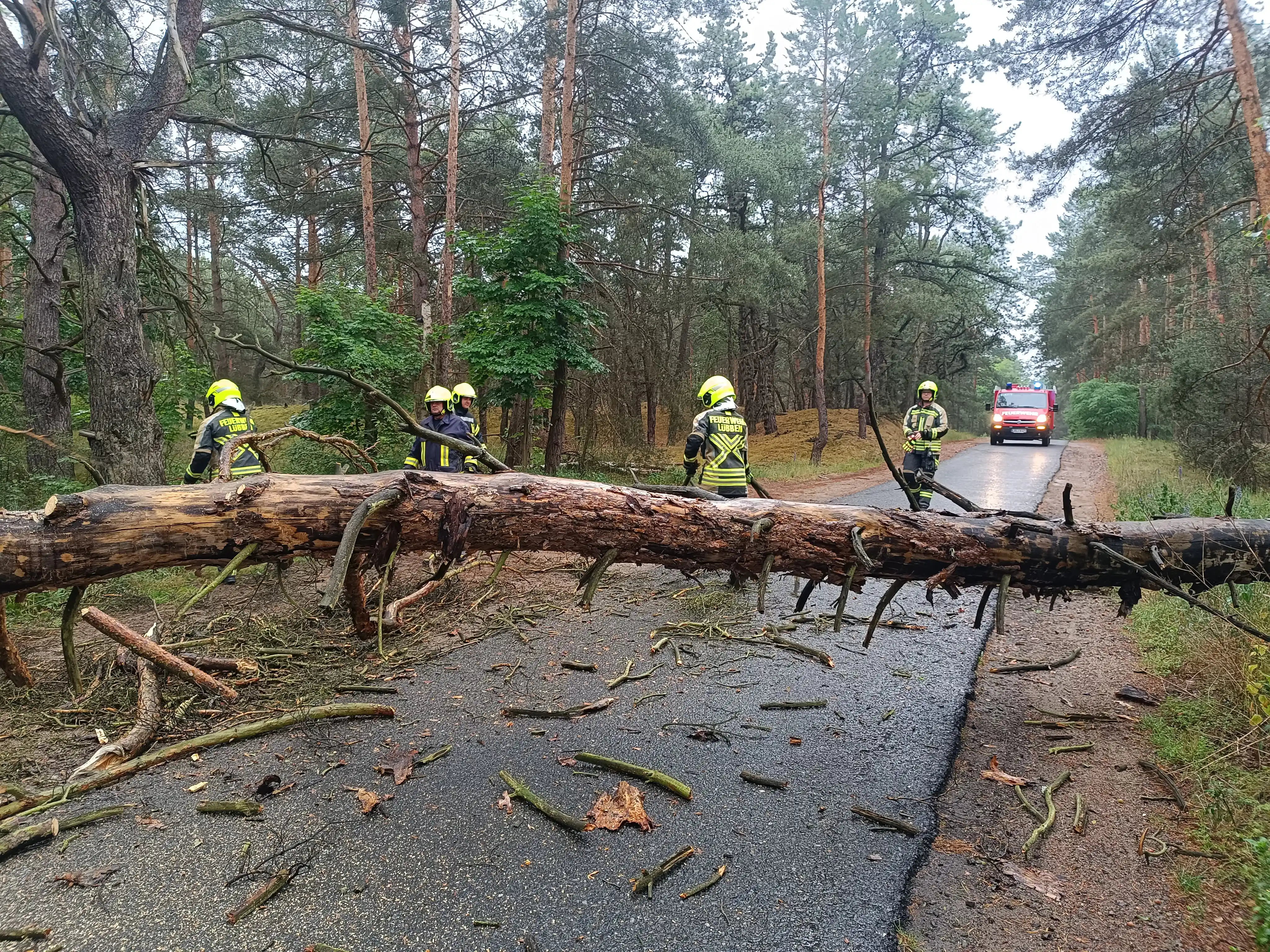 Image from Feuerwehren in Lübben (Spreewald) : 🚒 Einsatz 94/2025 🚨 10.06.2025 → 19:14 Uhr 🌐 Lübben, Majoransheide ...