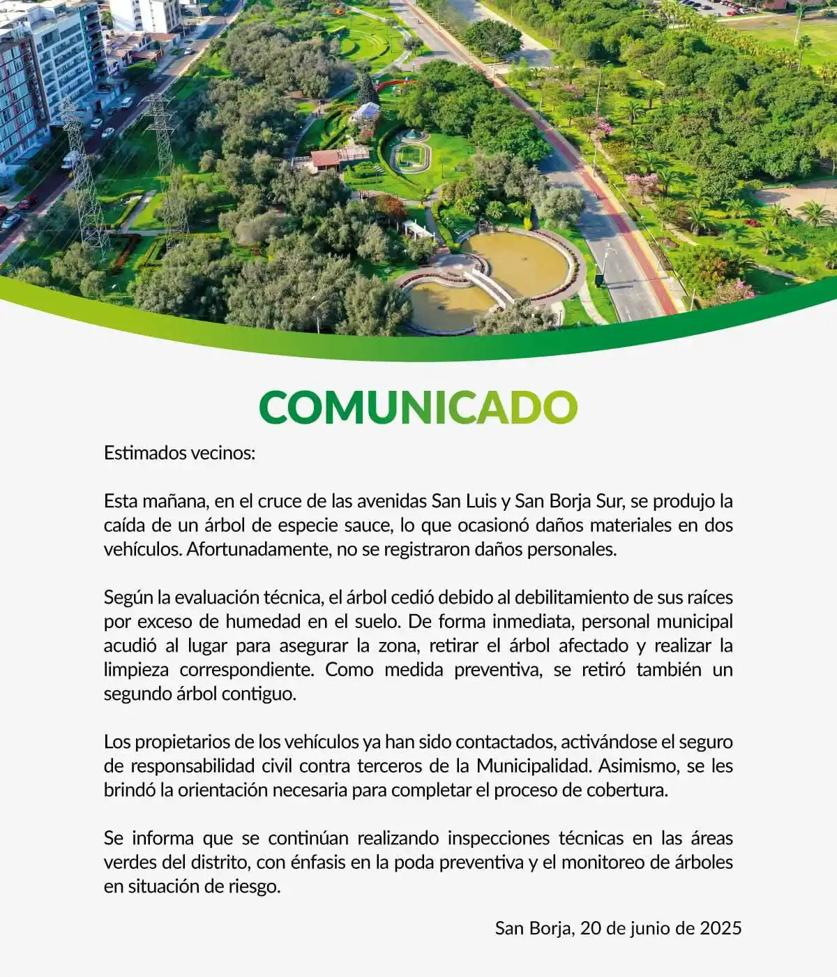 Image from San Borja Informa📢: 🌳 Esta mañana, se registró la caída de un árbol en el cruce de la Av....