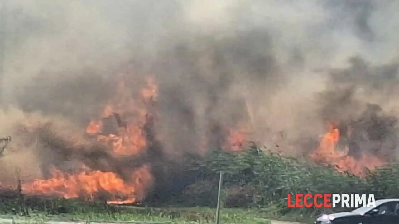 Image from LeccePrima.it: Fiamme sul litorale leccese, è ancora emergenza: due Canadair e 74 lan...