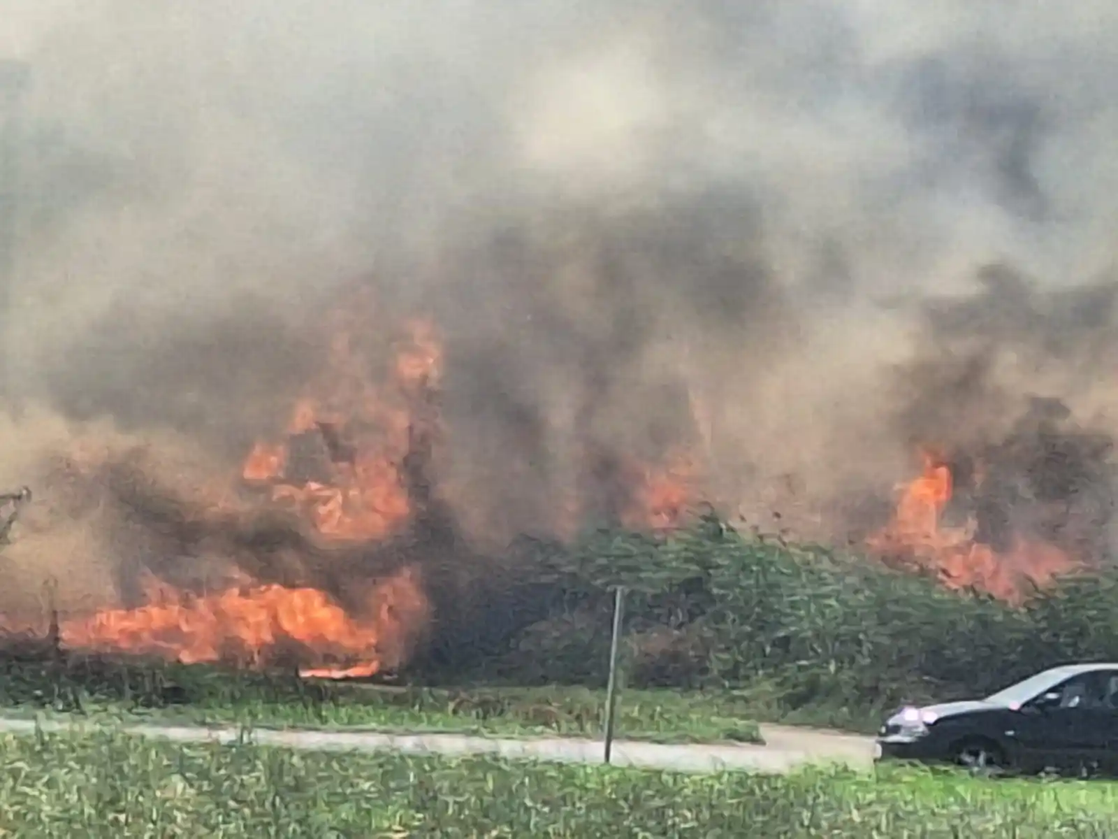 Image from LeccePrima.it: Fiamme sul litorale leccese, è ancora emergenza: sul posto anche Eserc...