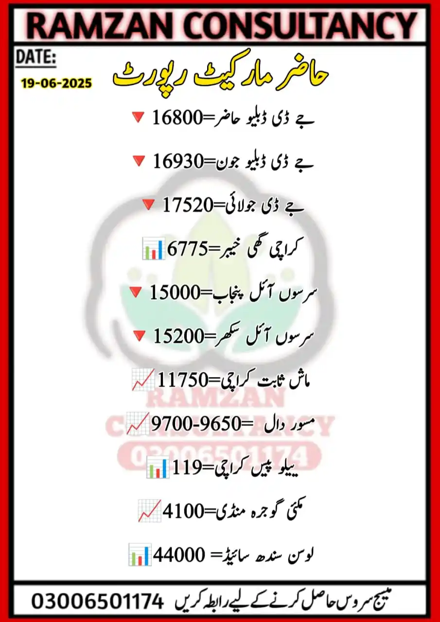 RAMZAN CONSULTANCY post