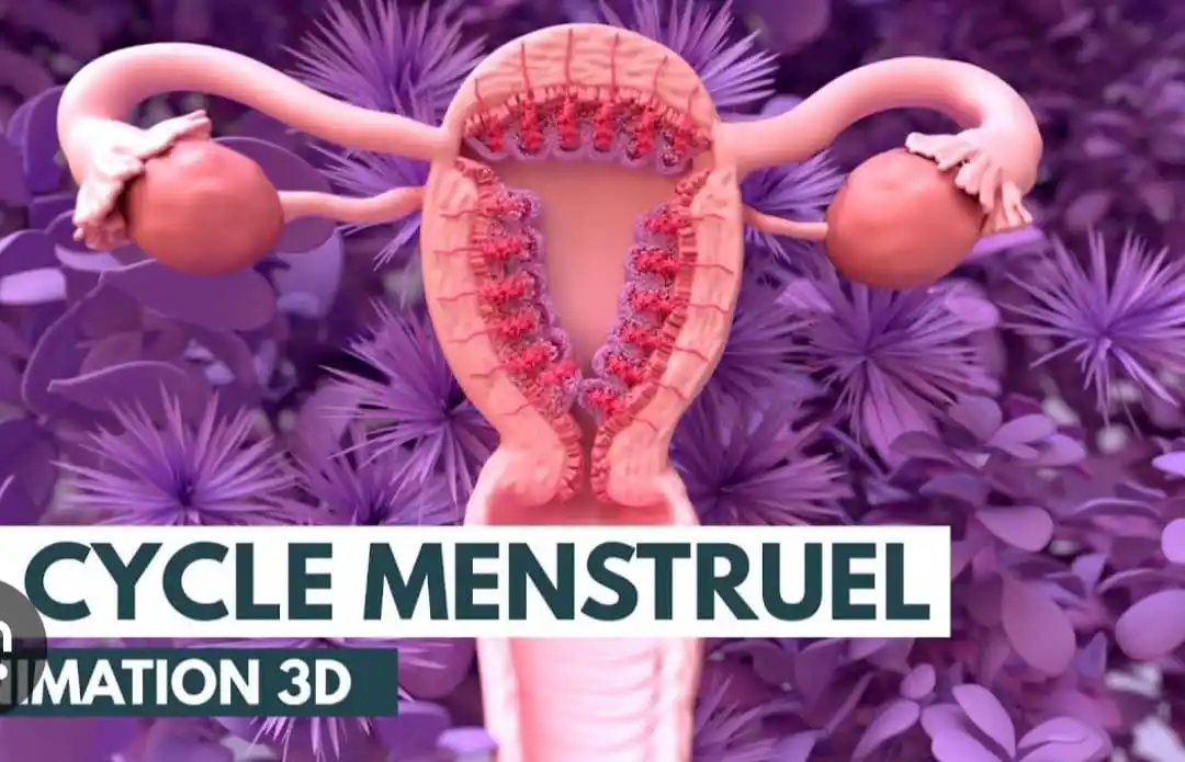 Image from infos Actualité Divine: *Munite Santé Le cycle menstruel de femme* *La santé reproductive fé...