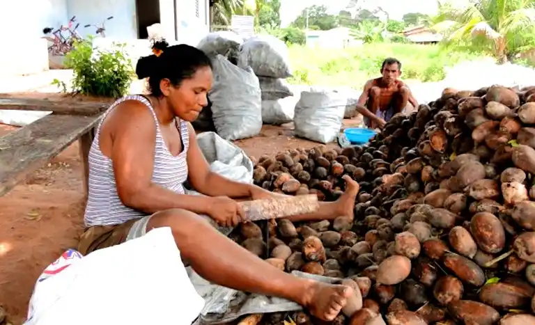 Image from Incra: 🎇O reconhecimento pelo Incra de unidades familiares que vivem na Rese...