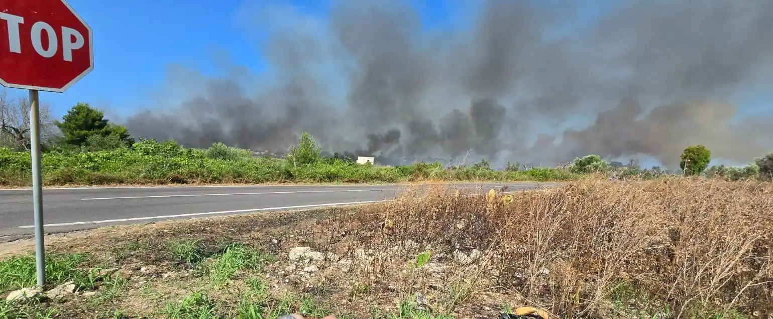 Image from LeccePrima.it: Un sabato infernale nel Salento: fiamme alte nei campi e fumo sulle st...