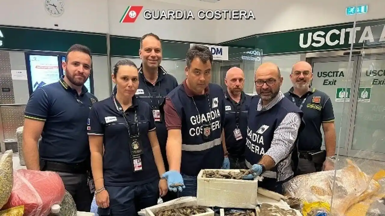 Image from NovaraToday: A Malpensa sequestrati oltre 400 chili di specie ittiche aliene  Leggi...