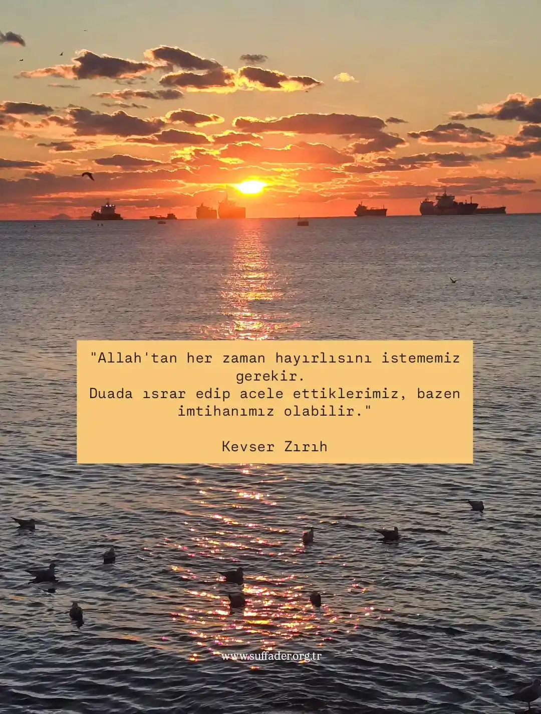 SUFFADER 《Ashab-ı Suffa Medresesi》 post