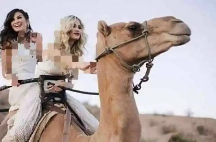 Image from كـوميــديـــا يـمنــية😂100%: اللهم ارزقني الجمل بما حمل يا الله...