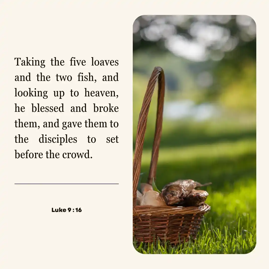 Image from St. Joseph's Church (Bukit Timah): Catholic Mass readings for the week of June 22 to June 28, 2025: 📖 S...