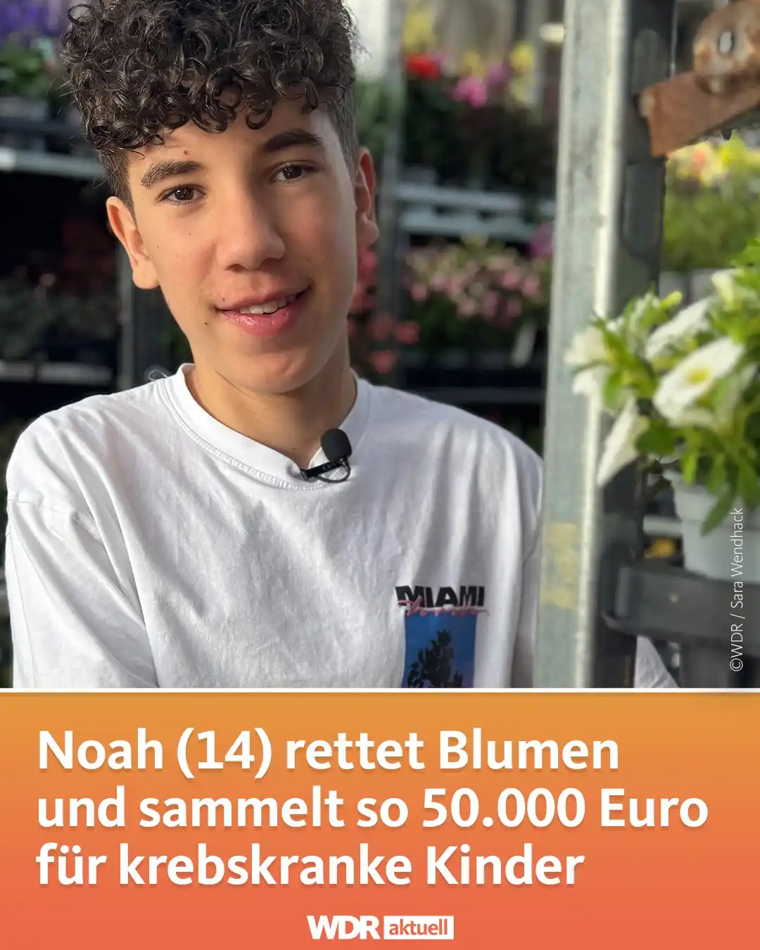 Image from WDR aktuell: 🌼 Eine geniale Idee: Noah Ganouni aus Duisburg hat tausende Pflanzen ...
