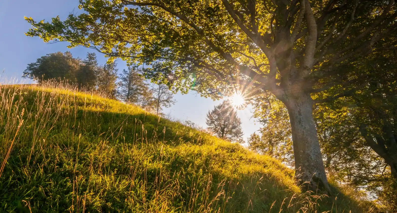 Image from sela. Der Gebetskanal: 🌞 *Herzlich willkommen zum Gebet!* Beten – jetzt gleich? Oder irgendw...