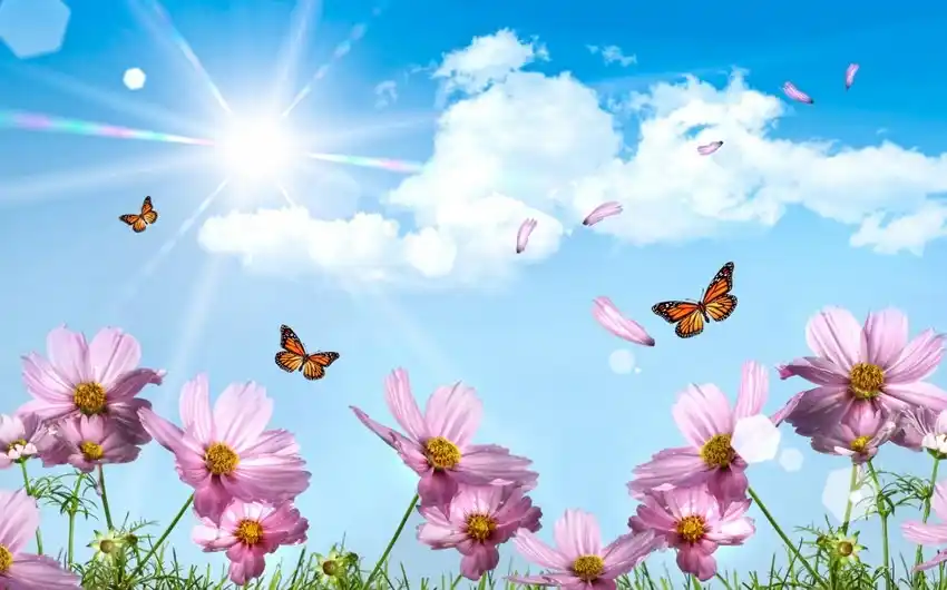 Image from OXU.AZ: ⛅️  🌡 Sabah 36 dərəcə isti olacaq  Bakıda və Abşeron yarımadasında ha...