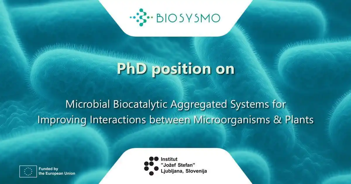 Image from Hamza Bin Sajid: 🚨 We are excited to share a PhD position at @JSI_SLO, partner of @bio...