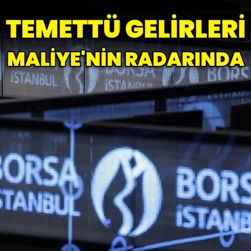 Image from HT Ekonomi: 📌Hazine ve Maliye Bakanlığınca yapılan analizde, 1725 kişinin halka a...