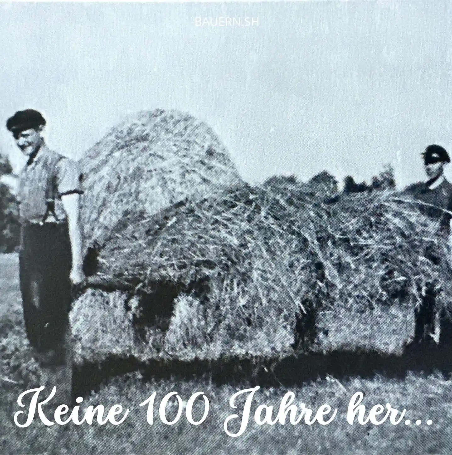 Image from Bauern.SH: Unsere Aufmerksamkeitsspanne umfasst heute oft nur Sekunden. Zugleich ...