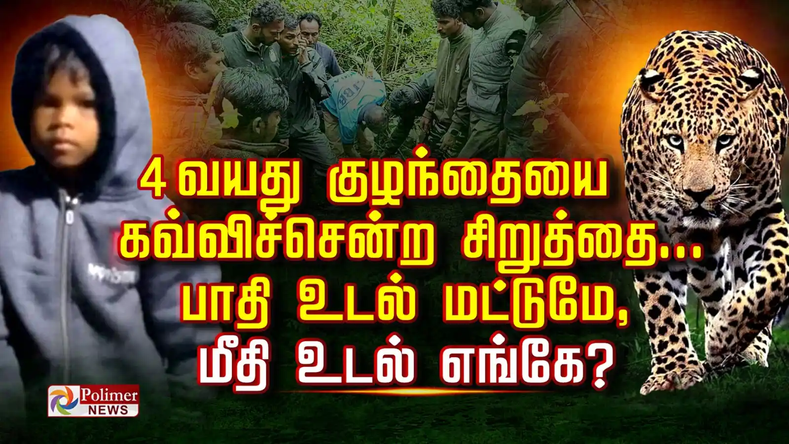 Image from Polimer News: 4 வயது குழந்தையை கவ்விச்சென்ற சிறுத்தை... பாதி உடல் மட்டுமே, மீதி உடல்...