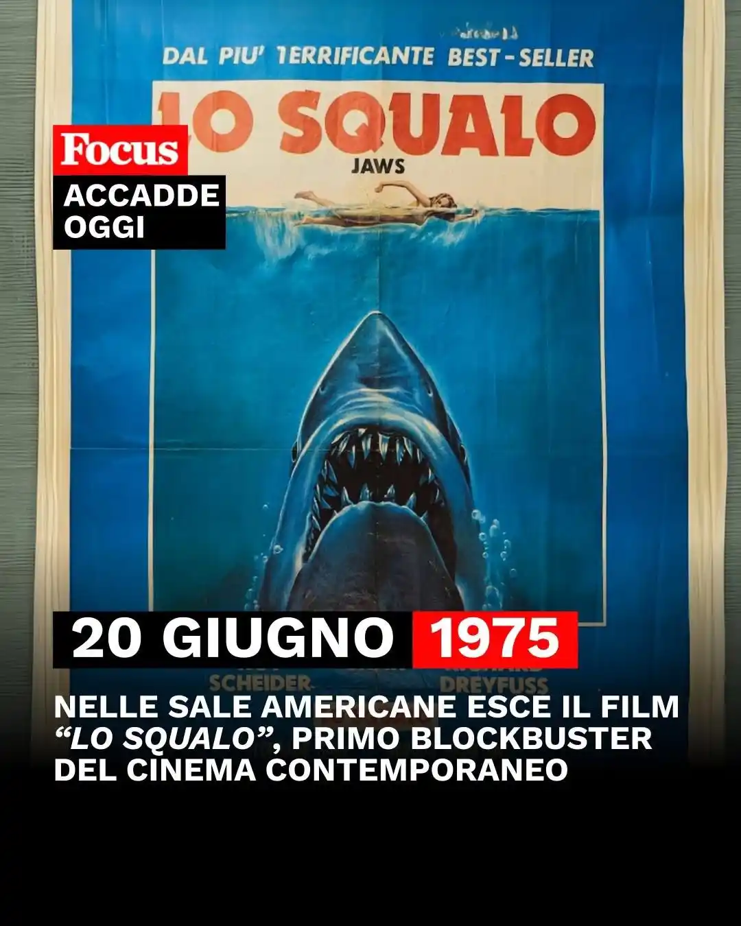 Image from Focus: 🦈 <a class="text-blue-500 hover:underline cursor-pointer" href="/hash...