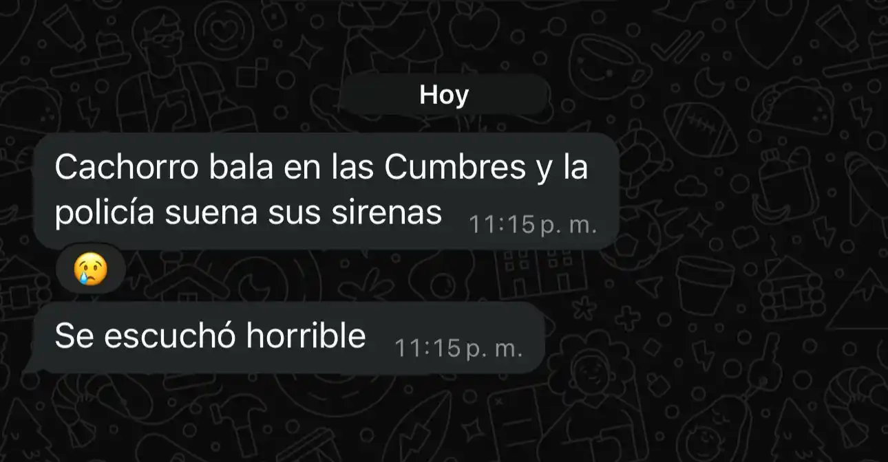 Image from El Cachorro TV: <a class="text-blue-500 hover:underline cursor-pointer" href="/hashtag...