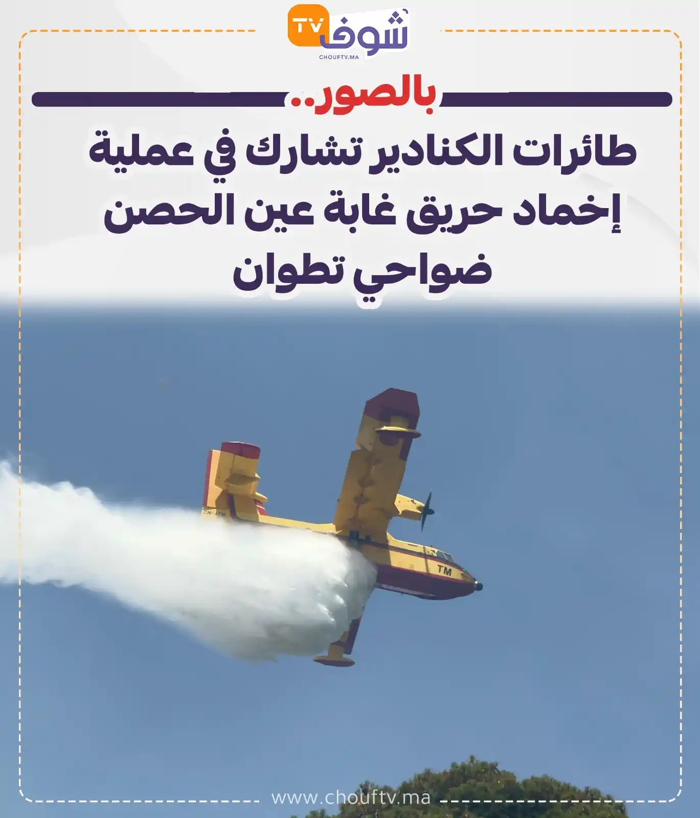 Image from ChoufTV: بالصور.. طائرات الكنادير تشارك في عملية إخماد حريق غابة عين الحصن ضواح...