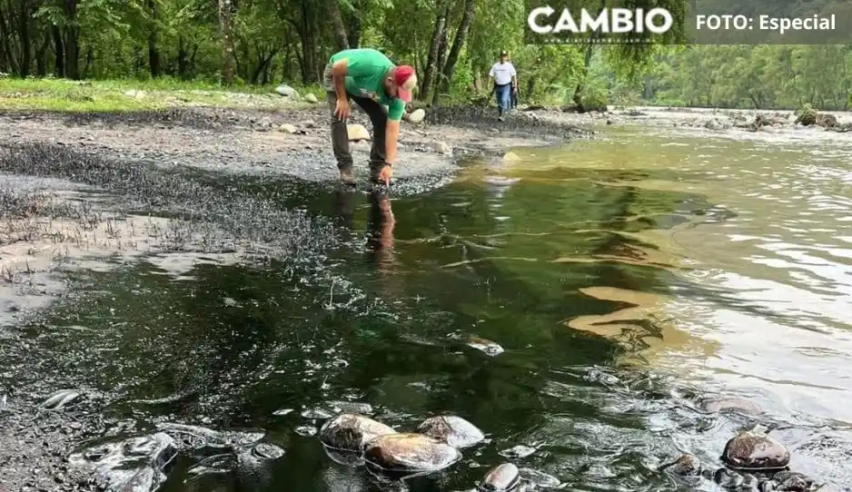 Image from Diario Cambio: 😨💧 *Derrame de hidrocarburo contamina río San Marcos, en Jalpan* La...