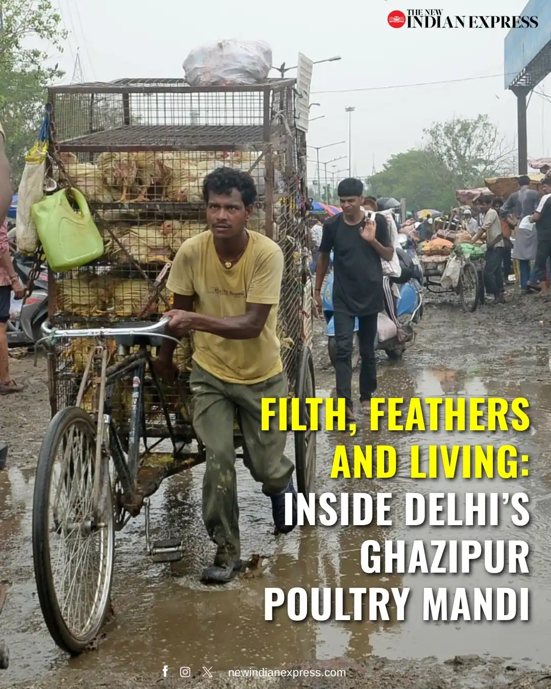 Image from The New Indian Express: Flashlights dart in the darkness, middlemen shout prices and buyers el...