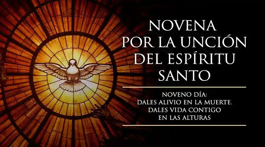 Image from Liturgia Del Día 📜: ✨ *NOVENO DÍA*✨ Tú, en aquellos que siempre más te confiesan y te ado...