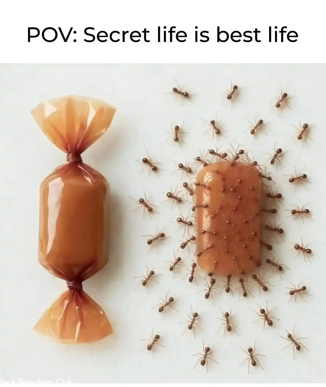 ALL STUDENTS LIFE post