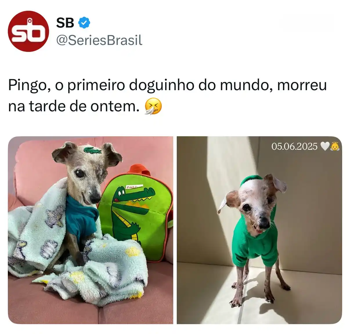 Greengo Dictionary post