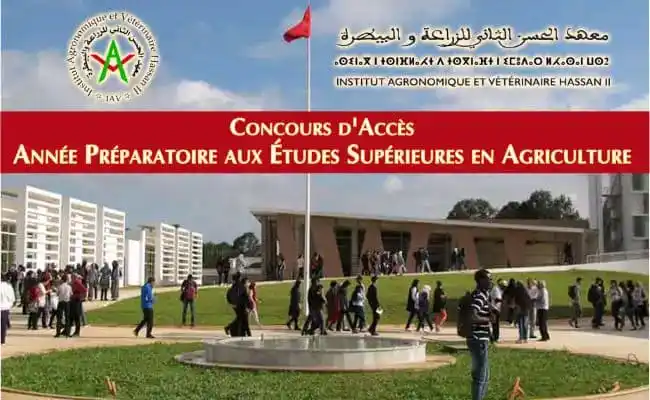 Image from أخبار الدراسة ما بعد الباكالوريا و التوجيه 🚨🤓: 🔴 رسمـــــــيا 💯..... لحاملي البكــالــوريا العلمية  2025👌 ✅ تم الا...