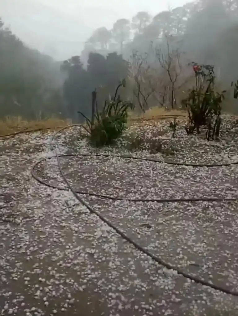 Image from Canal de información Las Noticias TVP 📺📡🎥: Se registran las primeras lluvias y granizo en Sinaloa 🌨 🫧 En los mu...