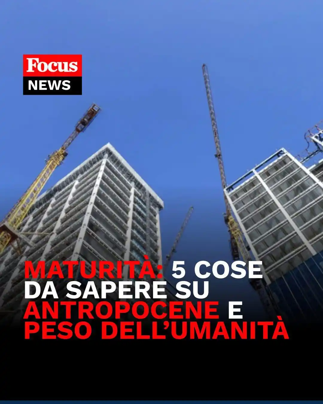Image from Focus: 🌍 Tra le tracce dell’esame di italiano 2025 spunta un brano di Telmo ...