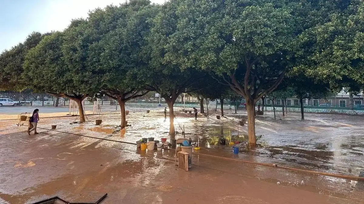 elDiario.es Comunitat Valenciana post