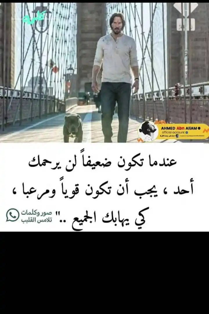 Image from صور 🌄وگلمات تلامس القلب♥️ عبارات خلفيات اقتباسات حكم دينيه احاديث قران: ✨️🌹❤️ عندما تكون ضعيفاً لن يرحمك أحد يجب أن تكون قوياً ومرعب ...