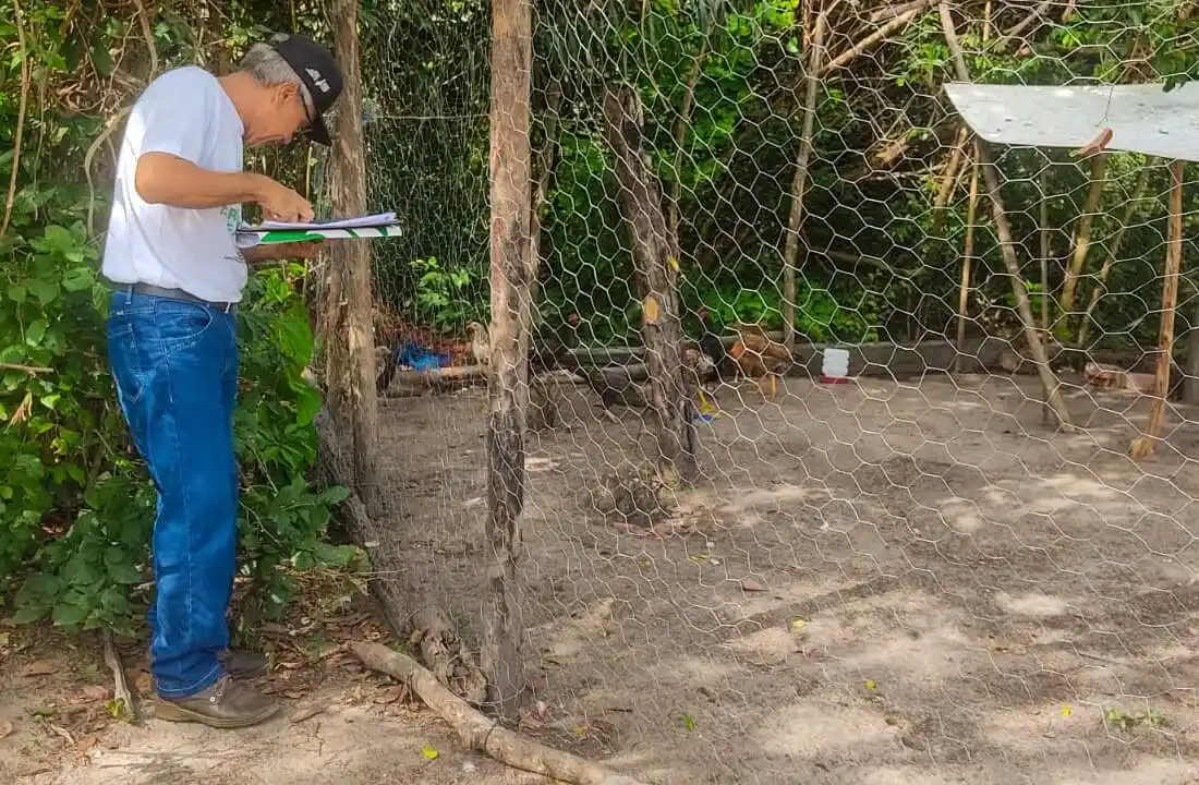 Image from Asbraer Notícias: 🌱 *Agricultores de Teresina atendidos pela Sada-PI são contemplados c...
