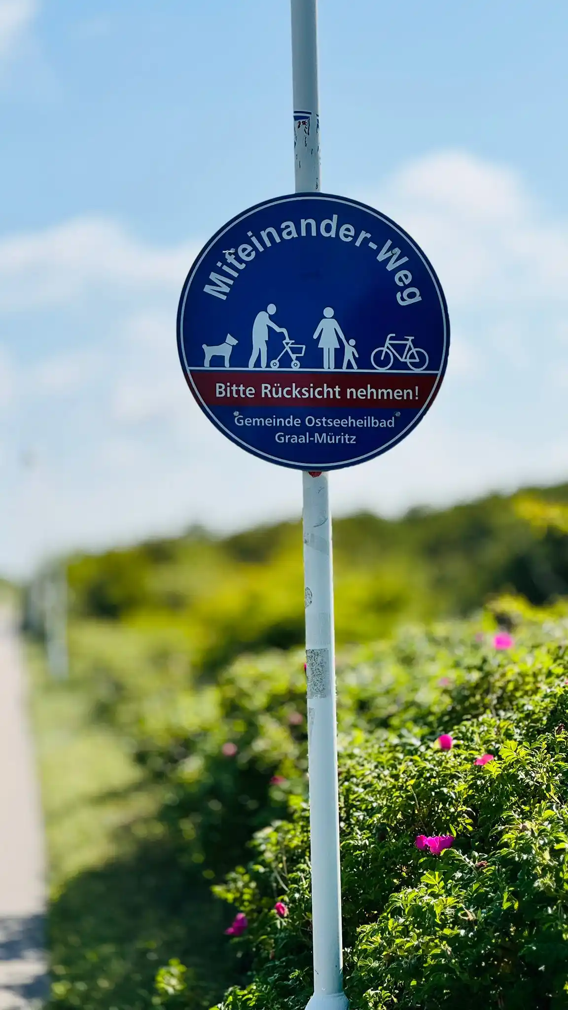 Image from Nie RADlos: Am anderen Ende wartete das dieser „Miteinander-Weg“! Eine gute Idee f...