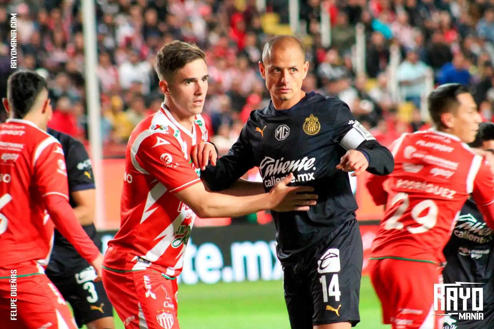 Image from Rayomanía Necaxa: 📢| Antes de debutar en el Apertura 2025, el Club Necaxa de Fernando G...
