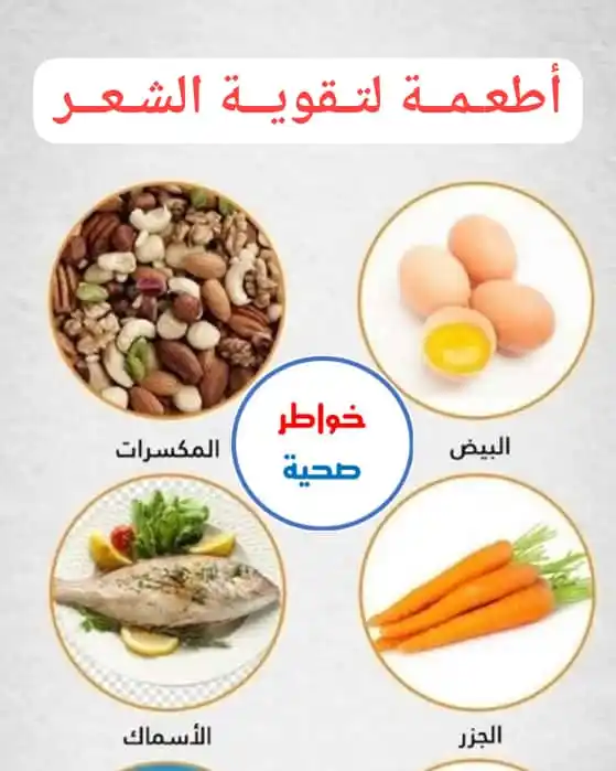 Image from خواطر صحية، طبية، نصائح، صحه، طب، اليمن، عدن، اليمن،صور، استشارات، اقتباسات، نكت،ch: ⭕ *أطعـمــة لتـقويــة الشـعــر* 🌹<a class="text-blue-500 hover:under...