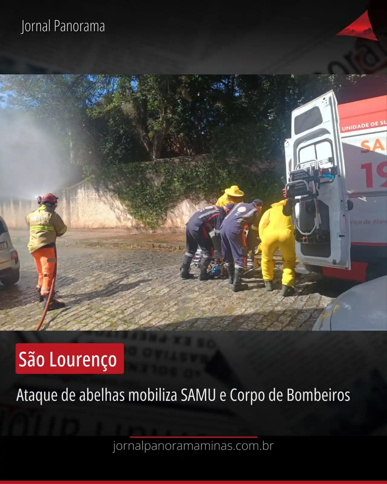 Image from JORNAL PANORAMA: Ataque de abelhas em São Lourenço mobiliza SAMU e Corpo de Bombeiros ...