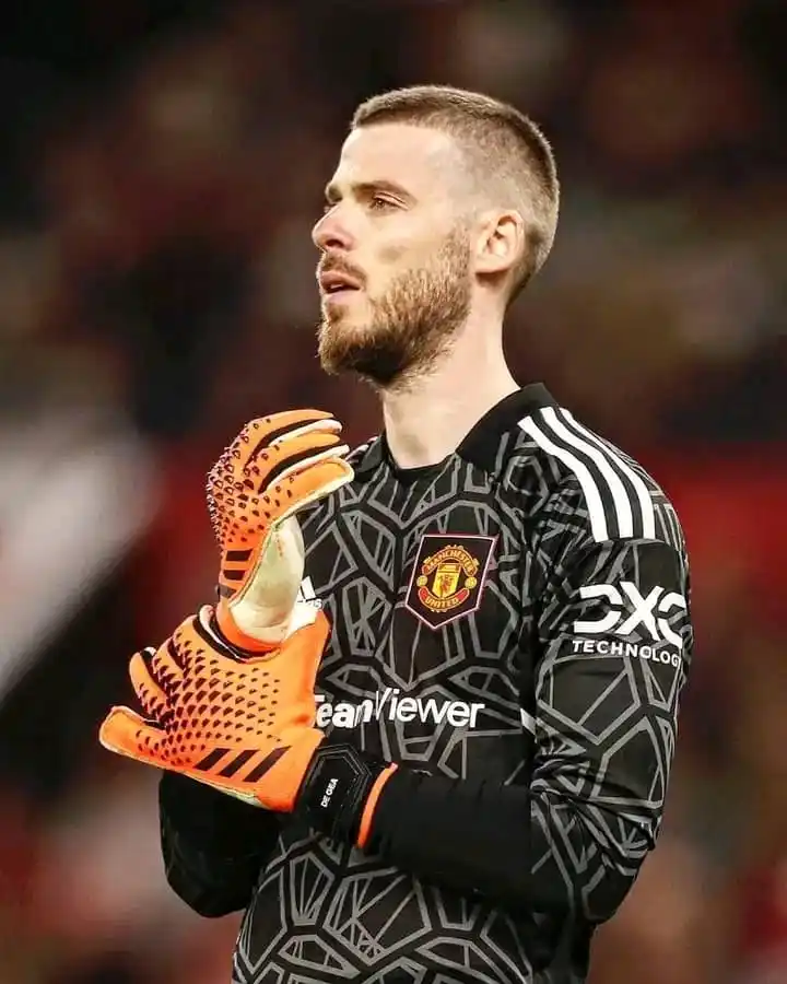 Image from Goal Arena: David De Gea for United:  - 545 appearances - 190 clean sheets - 1x Pr...