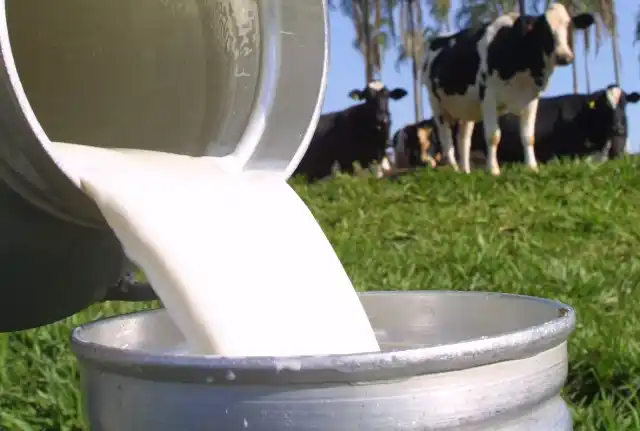 Image from Asbraer Notícias: 🌱 *Empaer-MT e Seaf promovem Dia de Campo sobre produção de leite com...